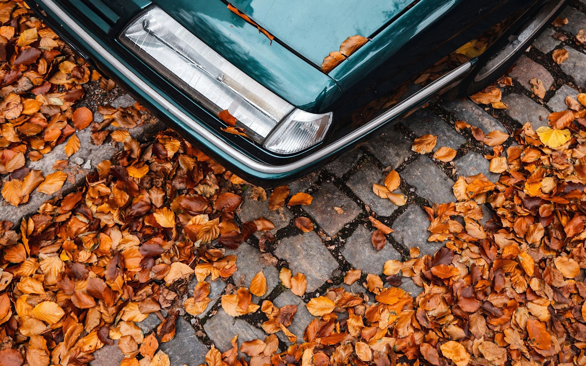 Гірше за лід? Чому досвідчені водії бояться опалого листя на дорозі
